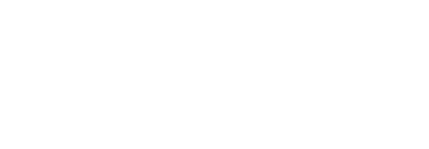 San Carlos logo